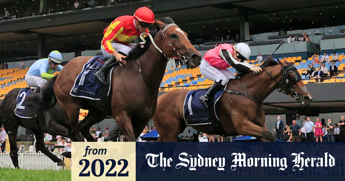 Racebyrace preview and tips for Canterbury on Thursday